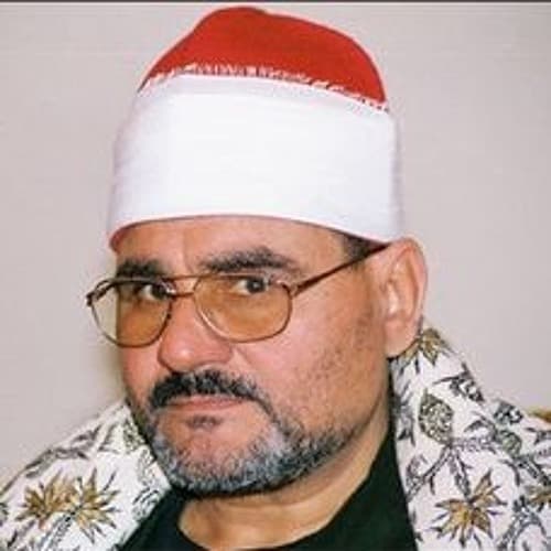Alsayed Metwally