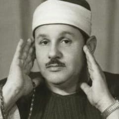 Mahmoud Ali Al Banna